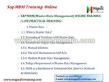 sap mdm online training tutorial and free server access