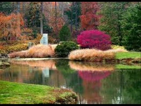 gurbet elde hasta düştüm