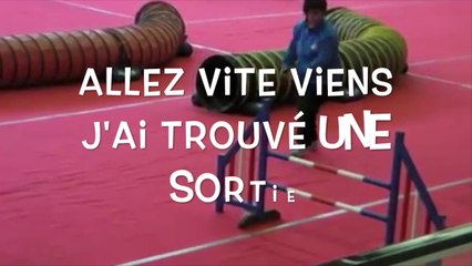 Colt Eurocopter: A Brief Overview