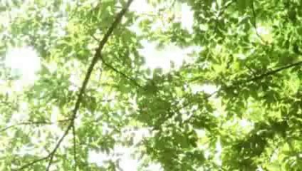 安東由美子が歌う『一ヶ月』