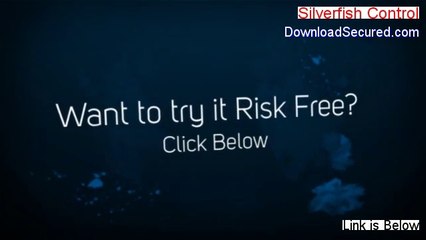 Silverfish Control Reviewed - silverfish control uk