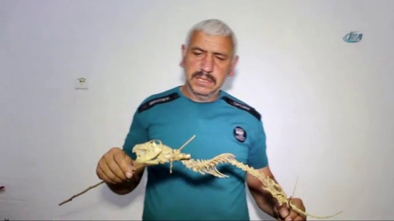 Bu iskelet görenleri şaşkına çevirdi!