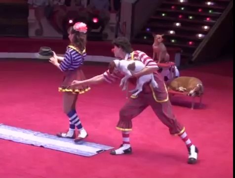 Dịch vụ xiếc thú , dịch vụ diễn xiếc hề ảo thuật 0975272627 Nhận diễn xiếc hề ảo thuật 0975272627 0975272627xiếc hà nội , ảo thuật xiếc , xiếc chó , xiếc khỉ , xiếc trăn tại HN dịch vụ xiếc sinh nhật Chuyên diễn xiếc thú , xiếc khỉ , xiếc chó 0975272627