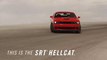 Dodge Challenger SRT Hellcat : 707 chevaux !