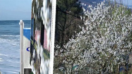 UHA NOITE NA EIRA DO TRIGO (LOS TAMARA)