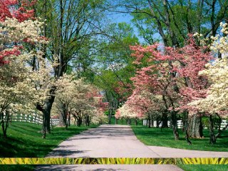 A természet csodája