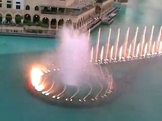 Bharat food & agro products-10