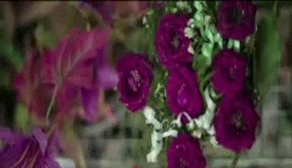 Bharat food & agro products-Dokhebaazi_DJ_Sanj_Bhinda_Aujla_(RoyalJatt.Com)
