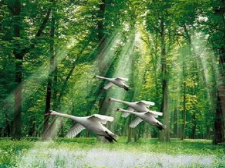 Aiden Andrews plays love songs part 3