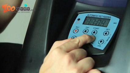 Distributeur automatique Auto Snack pour nourriture chien et chat