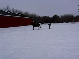 Sunny et Marie - Ski 002