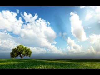 Tájképek 1 ( hang nélkül )