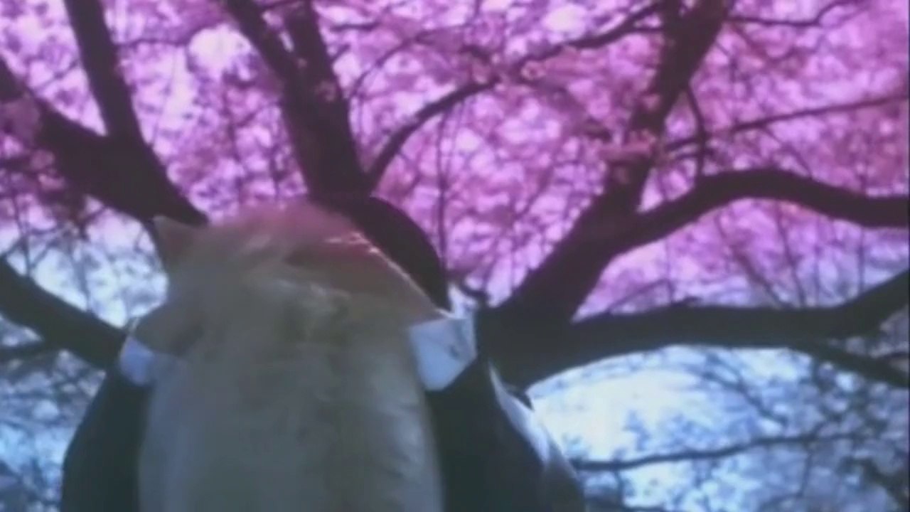 Hachiko : Story of a Loyal man's best friend