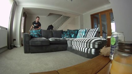 Solomon the Samoyed 8 - 9 weeks old