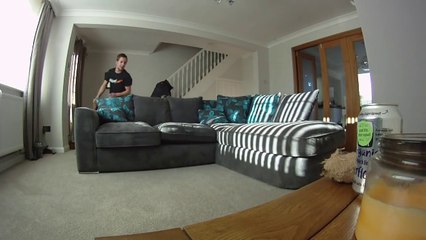 Solomon the Samoyed 8 - 9 weeks old