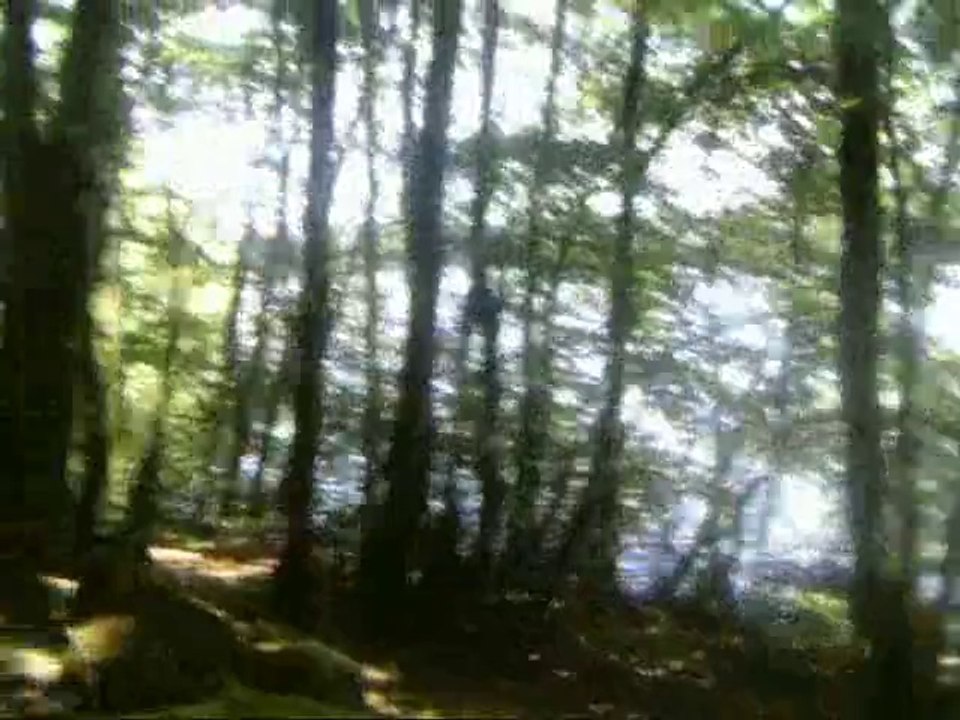 Le Lac de Vassiviere en Limousin (87)