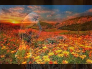 HAKAN TASIYAN-ASRİ GURBET