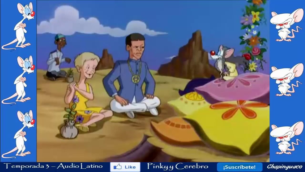 Pinky y Cerebro Capitulo 31
