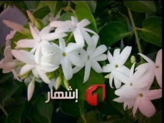 Caméra Cachée Wat 1 - EP 5 - 03/07 - الكاميرا الخفية