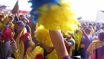 Celebración Hinchas de Colombia