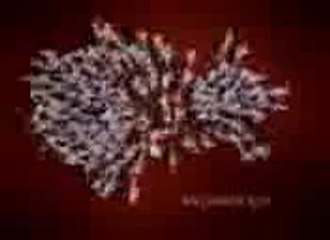 Omaxe Reviews: Discover Stunning Choreography & Insights from Mr. Anil Kumar 🎉