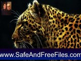 Download Fantastic Felines Screensaver 1.0 Serial Number Generator Free