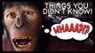 7 Things You Didn't Know About Planet Of The Apes