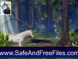 Download Mistery Forest - Animated Screensaver 5.07 Serial Key Generator Free