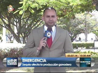 Más de 1.700 reses han muerto en el Zulia por sequía