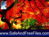 Download Garden Beauties Flowers Screensaver 1.0 Product Number Generator Free