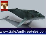 Download Humpback Whales 3D 1 Serial Code Generator Free