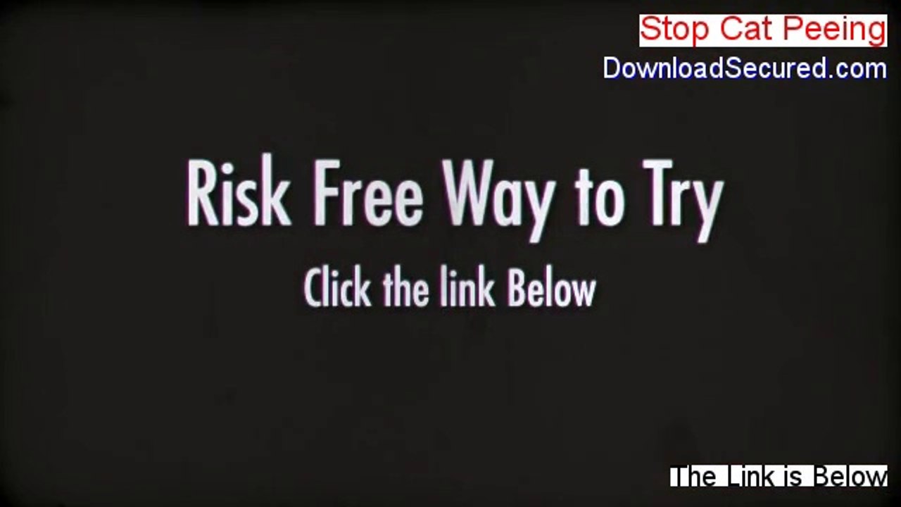 Stop Cat Peeing Free Download - Legit Download 2014