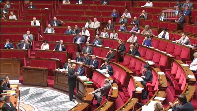 MOTION, ADOPTÉE PAR LE SÉNAT, TENDANT À PROPOSER DE SOUMETTRE AU RÉFÉRENDUM LE PROJET DE LOI RELATIF À LA DÉLIMITATION DES RÉGIONS, AUX ÉLECTIONS RÉGIONALES ET DÉPARTEMENTALES ET MODIFIANT LE CALENDRIER ÉLECTORAL - Mercredi 2 Juillet 2014