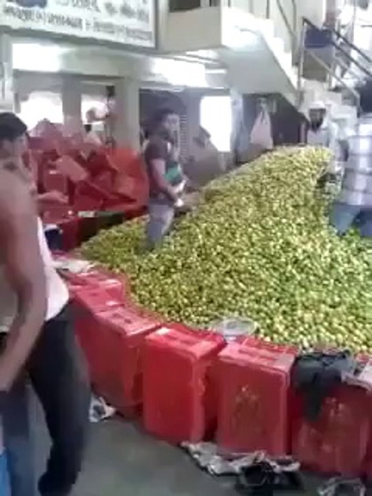 Workers Talent