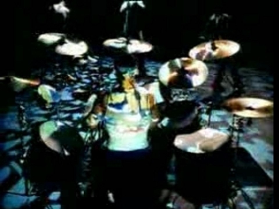 TOXICITY