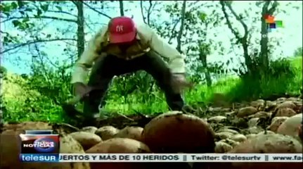 Condenan a exministro de Agricultura colombiano