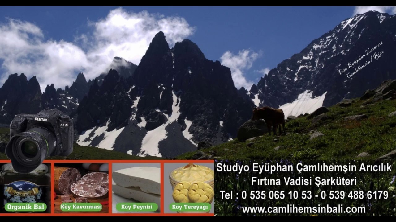 ÇAMLIHEMŞİN ARICILIK 2014 BAL HASADI