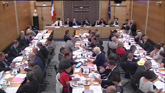 Marietta KARAMANLI Commission les lois 2 juillet 2014 Audition A Hazan