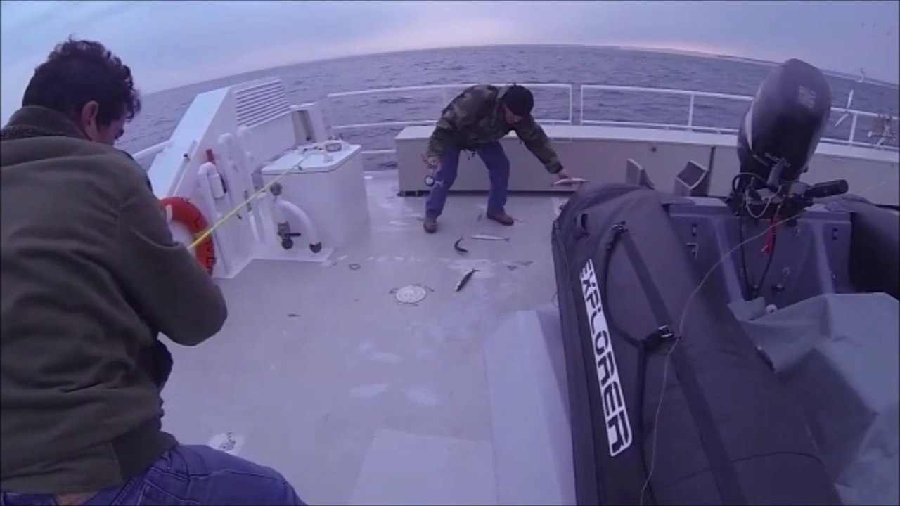 Sortie Maquereaux Bassin d'Arcachon 2013