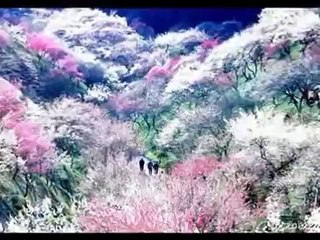 카지노싸이트 Ｗ Ｏ Ｗ ７ ７ ８ 。Ｃ ㅇ Ｍ 카지노싸이트  동영상