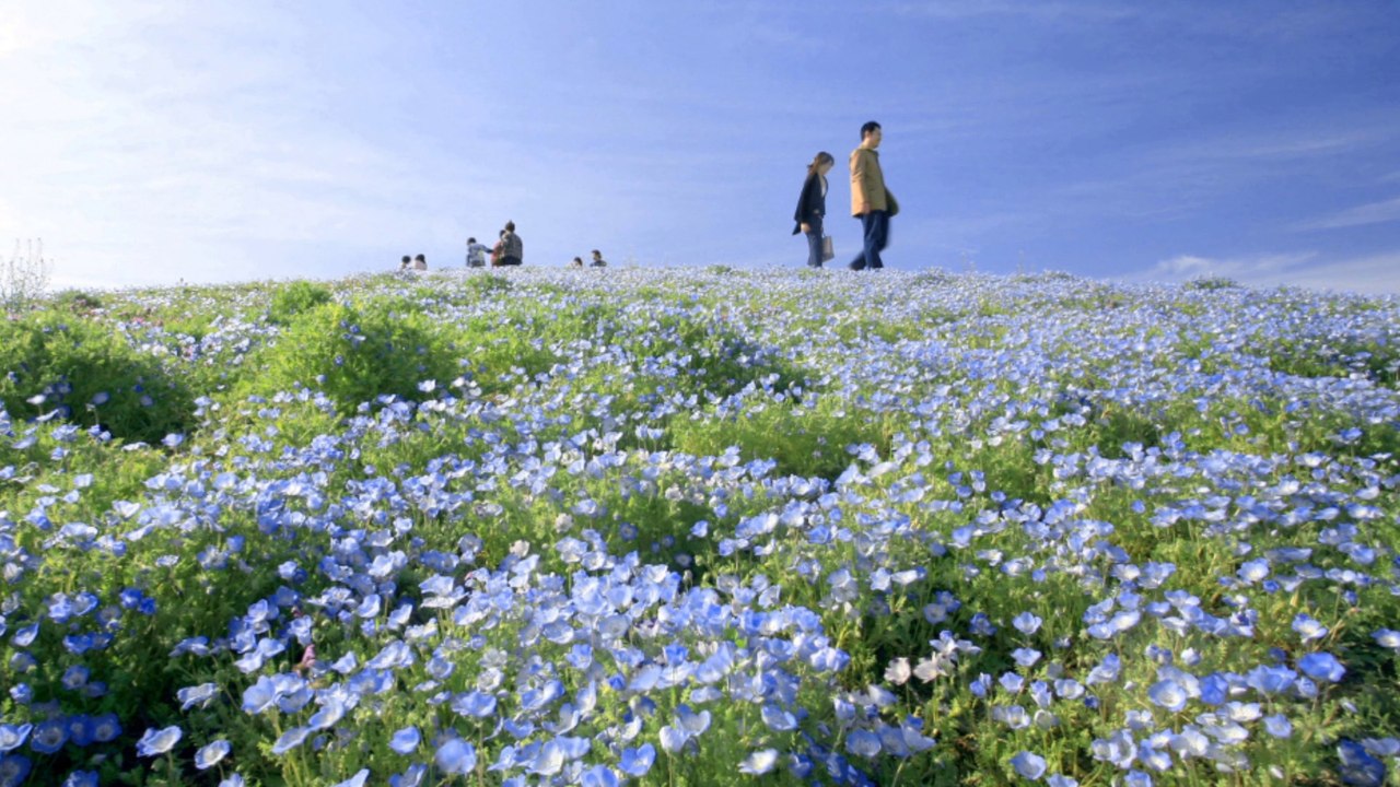 若いふたり　　　北原謙二