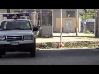 Aversa (CE) - Prosegue la deblattizzazione sul territorio (02.07.14)
