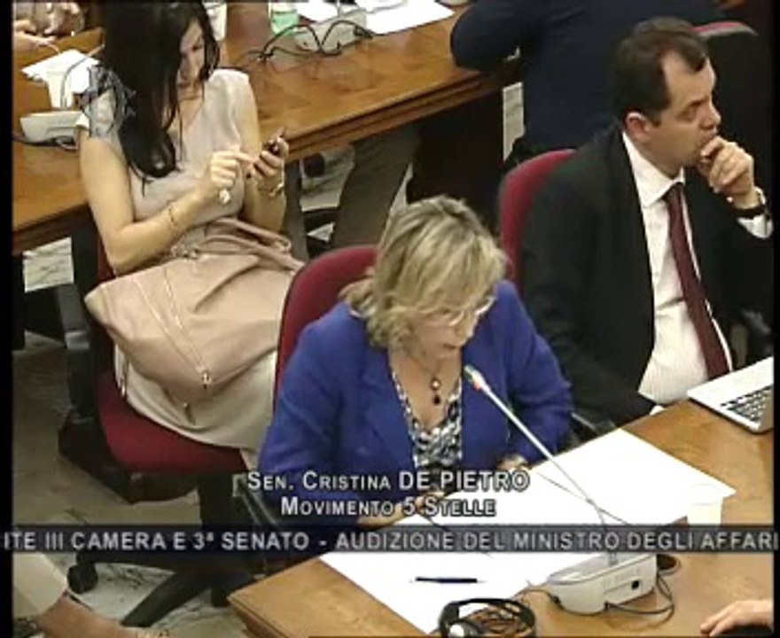 Roma - Audizione Ministro Mogherini (03.07.14)