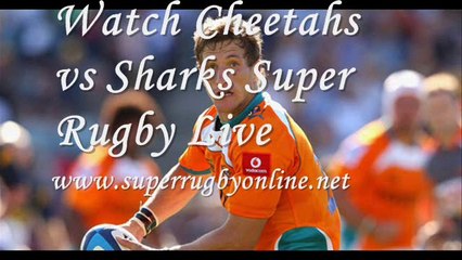 Live Sharks vs Cheetahs