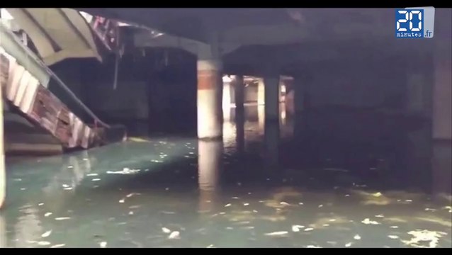 Thaïlande: Un centre commercial en ruines habité par des milliers de poissons