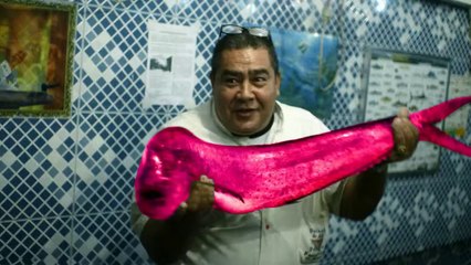 World Cup Song 2014 my Theme - Brazil Long Dance Version