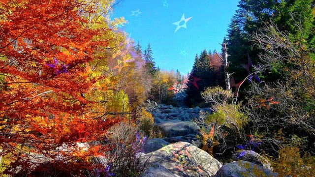 Ивайло Петров - Моят Град (София)