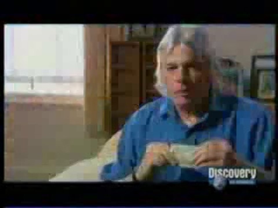 Los reptilianos