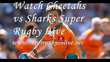 Watch Cheetahs vs Sharks Online