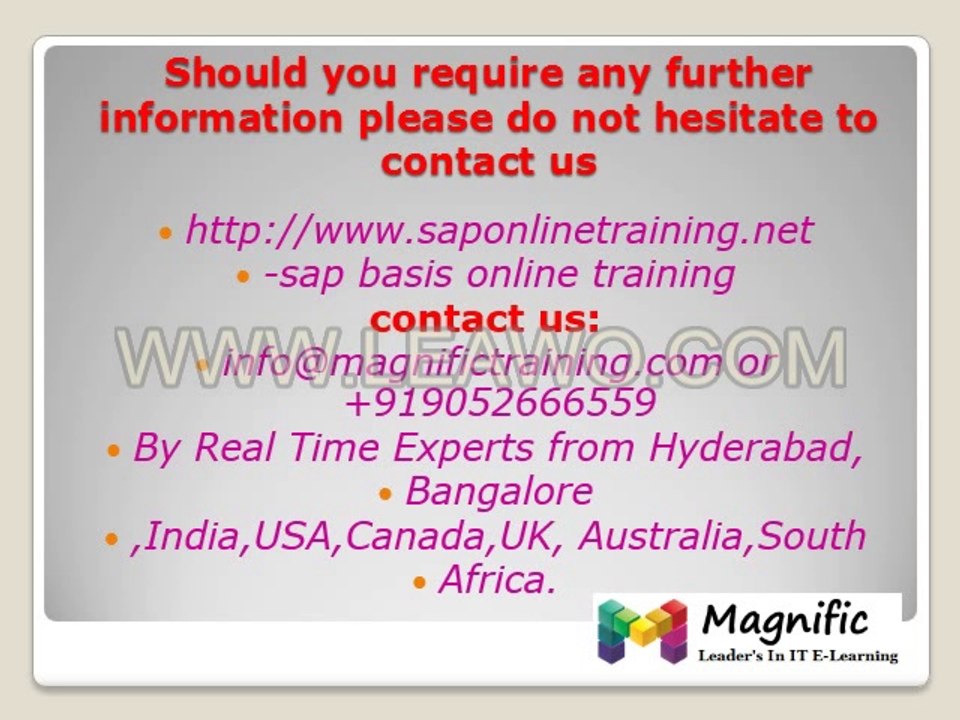 SAP BASIS Online Training and Placement in USA_3
